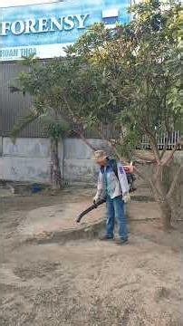 Clean up the house filled with ancient treasures #deepcleaning #houserestoration