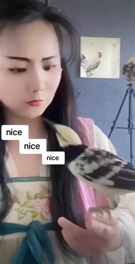 فيديوهات أنشأها ,,,,,, (@mb_nazim_uddin) باستخدام Originalton - funnyvideos