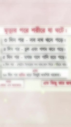 Informational Schedule in Bengali Text Frames