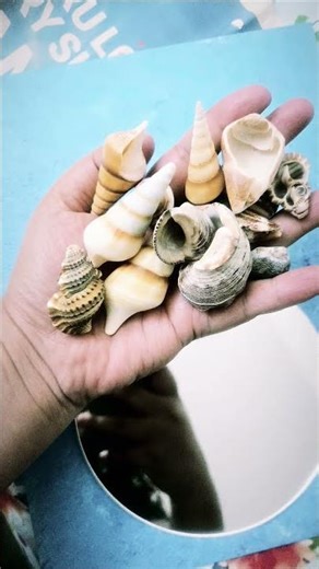 Sea Shell Mirror Art🌊🐚🪞🖼#DIYHomeDecor #ShellArt #MirrorDecor #HandmadeDecor #WallDecor #ArtAndCraft