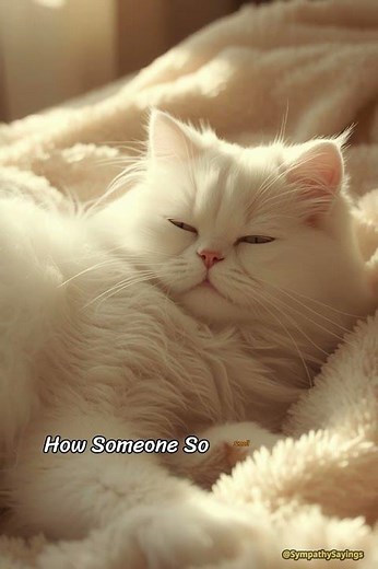 The Heartbreaking Truth About Losing a PET Forever 💔🐾