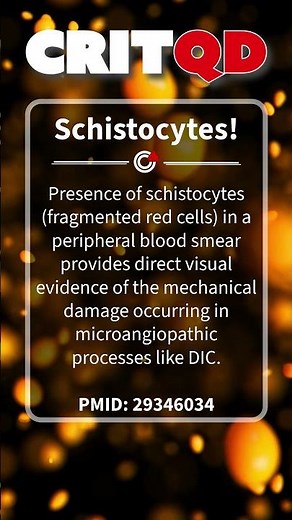 Schistocytes!