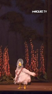 4.3K views · 164 reactions | Jemima Puddle-Duck is here to show us how to strut our stuff閭Let us know if you’d dress up as our fabulous feathered friend ✨ Frederick Ashton's Tales of Beatrix Potter is available to watch now on Marquee TV https://marquee.tv/videos/royaloperahouse-beatrixpotter #BeatrixPotter #Costumes #Ballet #MarqueeTV" | Marquee TV | Facebook