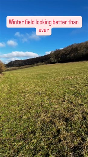 Tacky Central Livery on Instagram: "As you probably know I run an Equicentral System Livery Yard here on the edge of the Chilterns… BUT I have 3 small loafing areas (with hay and water) but with a herd of 7 at the moment, they’re still not really big enough to lock them all on when the weather is so foul… Then Dec 2nd I had abdominal surgery and had to take 4-6 weeks out of action so there needed to be a certain level of embracing a feral, low maintenance herd life so my cover had a simple time 