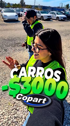Erika & Pocho | Expertos en subastas de autos 🚘 on Instagram: "Carros por -$3K en Copart 🔥 ¿Qué opinas de estas oportunidades que encontramos en la subasta? 👀 Si estás buscando algo como esto o cualquier tipo de vehículo, te guiamos y te asesoramos en todo el proceso. #MapaBroker #Subastas"
