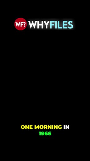 The Why Files Official (@thewhyfiles)’s videos with original sound - The Why Files Official