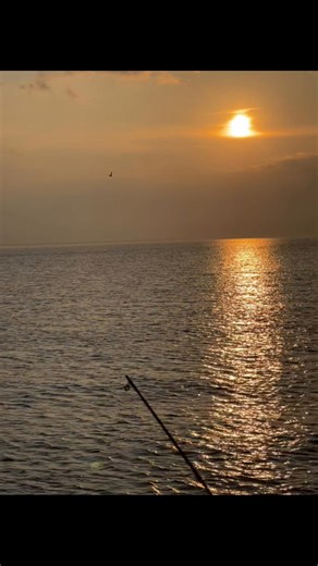 Soy código ff (@sweetff62)’s videos with sonido original - Ƴøɗɛr 🧃