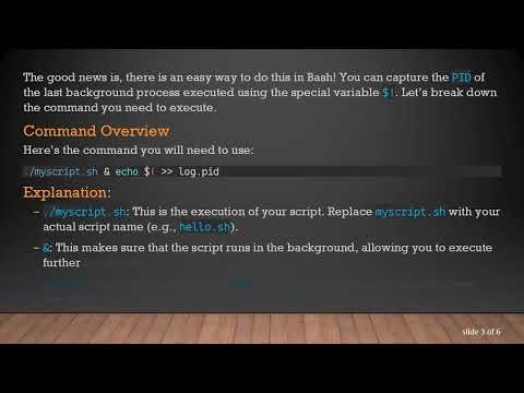 How to Get the PID of a Process Launched in the Same Command Line in Bash