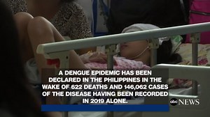 Dengue epidemic declared in Philippines