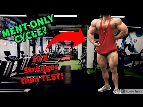 MENT / Trestolone Only Cycle | Doctor's Analysis | Strongest Steroid?