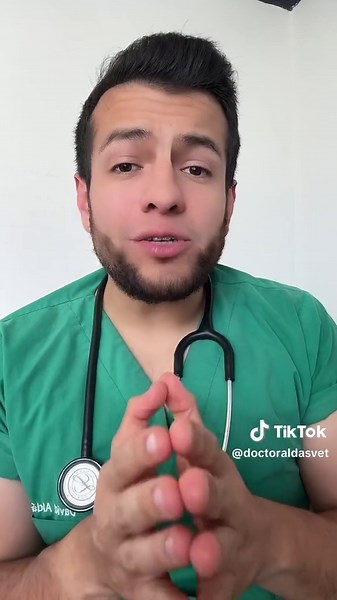 Los perros como consejeros amorosos en citas