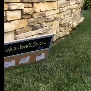 7.9K views · 31 reactions | My Buddy My Pal My Friend | My Buddy My Pal My Friend | Facebook