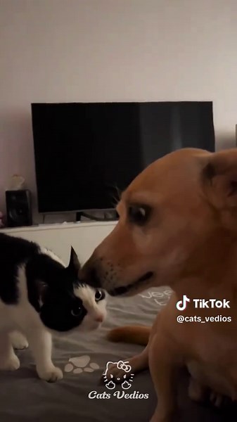 Exploring Phonk Music: A Deep Dive into Its Roots