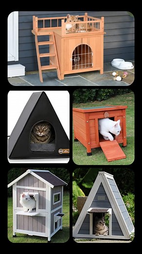 18 reactions | Kitty Kingdom: The Ultimate Outdoor Cat Houses Unleash...