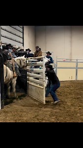 2 days remaining! JD Bar Rodeo Bucking Horse Full Dispersal Sale. Aug 28th at 3 pm MST. Live sale with online watch/ bidding. Lot 10 – X719 Rustic Rockstar (SB)Sire:#24 (Steve Wagons) – Dam: Standing Agreement X719 Rustic Rockstar is a 5 yr old mare that is flashy and big. Good honest trip every time that will let a SB rider spur to win. X719 is sired by #24 of Steve Wagons and the dam Standing Agreement. She has had a colt this year so you can start to pack her then put her in your broodmare pe