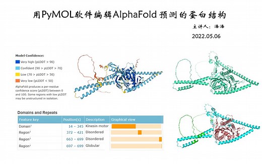 手把手带你获取AlphaFold 预测的蛋白文件 用PyMOL软件给蛋白结构域加伪彩