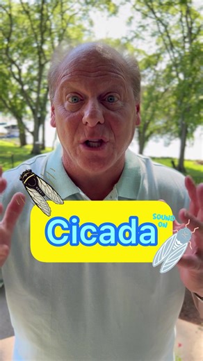 How to Pronounce Cicada Correctly | English Online Language Learning