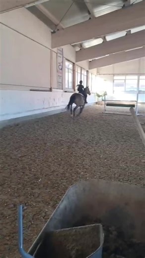 Fanny was amazing ❤️😍 #fanny #fürimmer #fyppp #Equestrian #reiten @Lea Schneider🇩🇪 @Sophie⭐️🎀 @VICI.HOTZ @🇩🇪Jenna Bartels🇩🇪 @Lynn de Jong 🌟