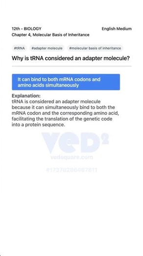 Why tRNA is Called an Adapter Molecule Biology 12th