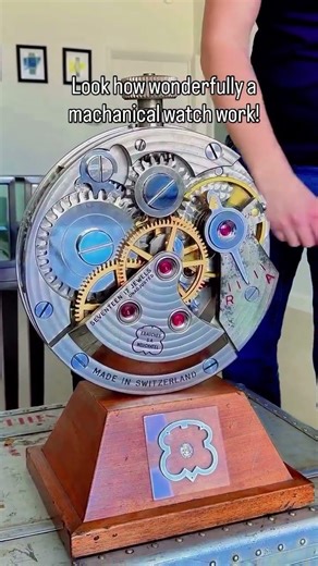 This is how a mechanical watch work...