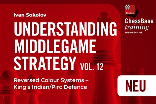 Ivan Sokolov: Understanding Middlegame Strategy Vol 12: Reversed Colour Systems – King’s Indian/Pirc Defence