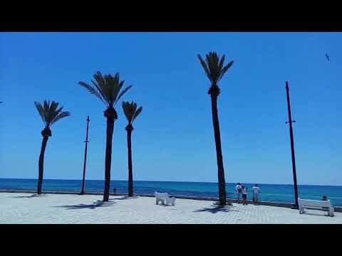 Pupput Unveiled Tradition Taste Timelessness