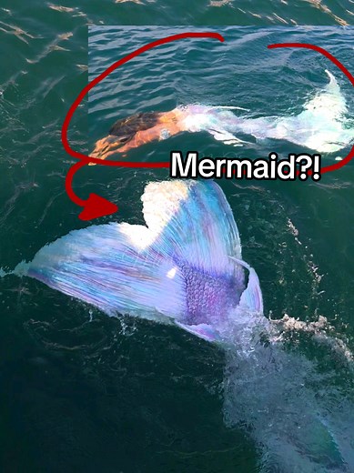 Real Mermaid Tail Swim: Unbelievable Underwater Magic