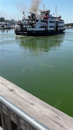 This has to be the LOUDEST boat in the world 🔊 #boatnoise