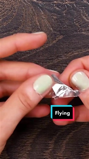 It Can FLY #fyp#foryou#magic#science#fly