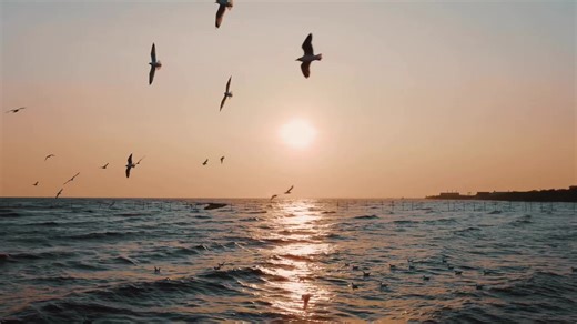 #hectorlavoe,#idilio,#gitana,#salsa source : D'après Abou Hourayra (qu'Allah l'agrée), le Prophète ﷺ a dit, Rapporté par Mouslim