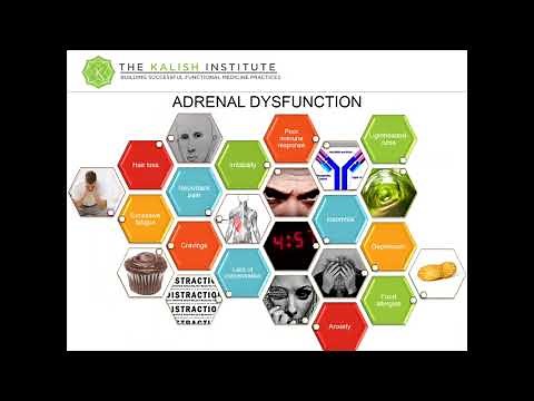 Clinically Effective GI Treatments Utilizing the GI MAP™ Test with Dr. Dan Kalish Part 2
