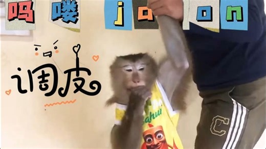 吗喽jason一兴奋就会犯错，但是很会察言观色，改正错误