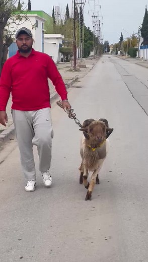 Baha Benjaballah sur TikTok