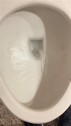 Proflo Toilet Flush: Features and Benefits