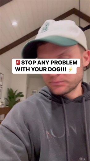 91K views · 1.4K reactions | The BEST piece of advice for all dog owners! #dogtraining #puppytraining #dogtrainer #doglover | Tom Davis Dog Training | Facebook
