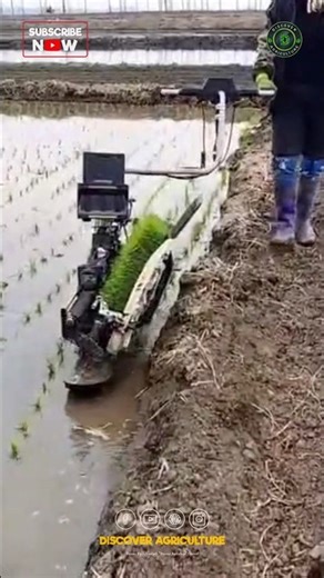 Amazing Rice Planting Machine