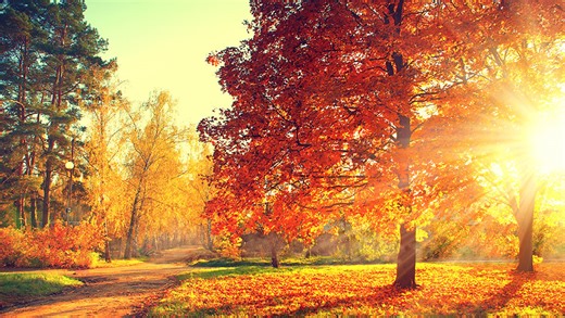 Futures Fall; Astera, Credo, Other Hot Stocks Continue Slide