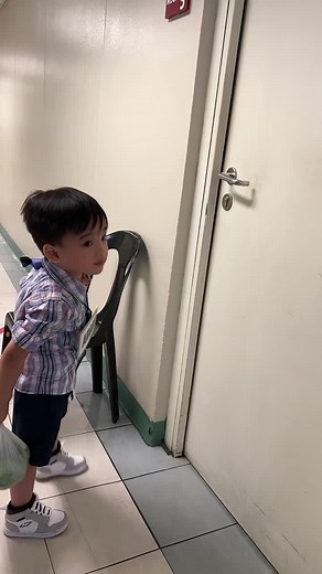Argus Cute Moments Compilation | Funny Videos of Argus Swimming Pool Reveal