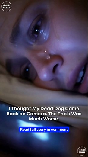 The night my dead dog appeared on our security camera, I didn’t scream because I believed in ghosts – I screamed because, for one awful second, I was sure my grief had finally snapped something inside my head. A week after we put Pumpkin to sleep, my phone buzzed on the nightstand at 2:13 a.m., cutting straight through the heavy silence of our bedroom. I knew that sound without looking: the little chime from our home security app that says, “Motion detected – Living Room.” Nothing is supposed to