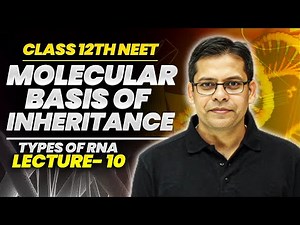 Types of RNA | Lecture 10 - Introduction Molecular Basis of Inheritance | Class 12th