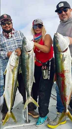 Ensenada Fishing Update: Yellowtail Bite, Big Bonito, Excellent Lingcod & More!