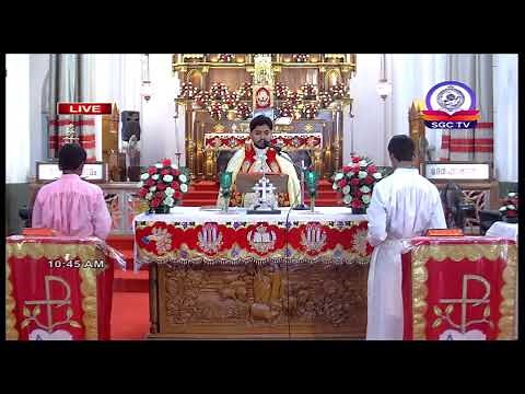Holy Mass Malayalam || Syro Malabar || Palai Diocese - Live