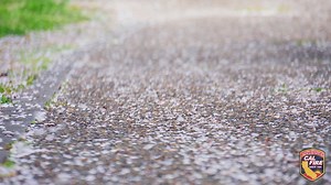 7.2K views · 159 reactions | Spend time this spring creating and maintaining defensible space around your home. Completing simple tasks like removing hanging branches near your roof and home, removing dead vegetation on your property, pruning shrubs, and cutting grass to a maximum of four inches, will help make your home fire safe. Learn more tips at readyforwildfire.org | CAL FIRE | Facebook