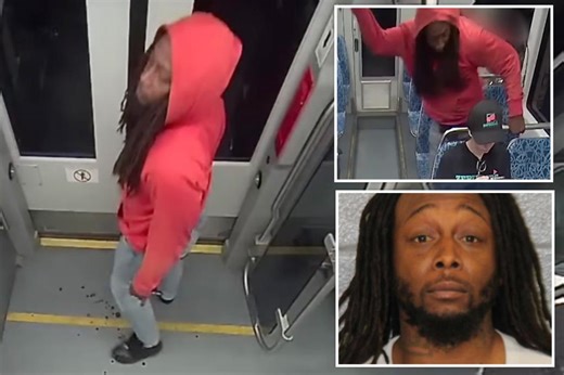 Madman charged with killing Ukrainian refugee Iryna Zarutska was free on cashless bail — despite years of violence, mental illness