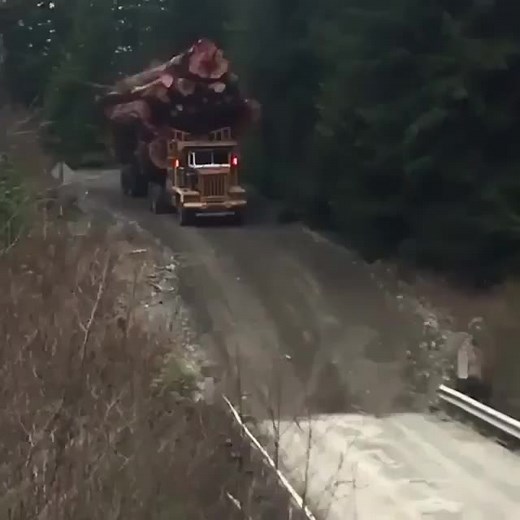 Timber Haulage: Truck with Lumber Going Up Mountain