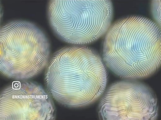 213K views · 3.7K reactions | The wondrous phenomenon of...