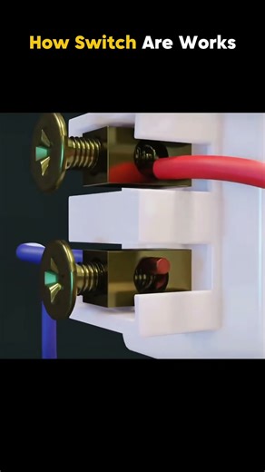 This Is How Switches Work #shorts #3danimation