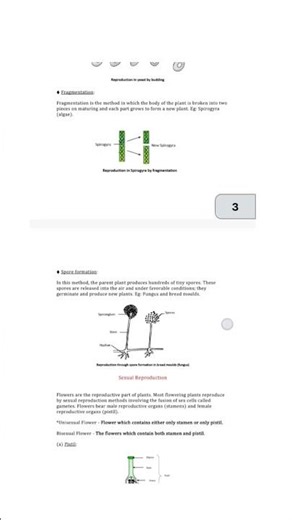 Class 7th Science Chapter 8 Reproduction in plants Notes#