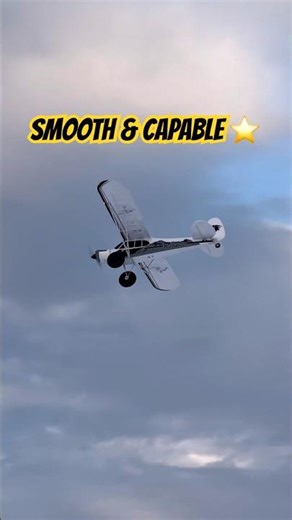 Alaska Cub | Slow, Low & Scale #rcplane #aviation #alaskarc