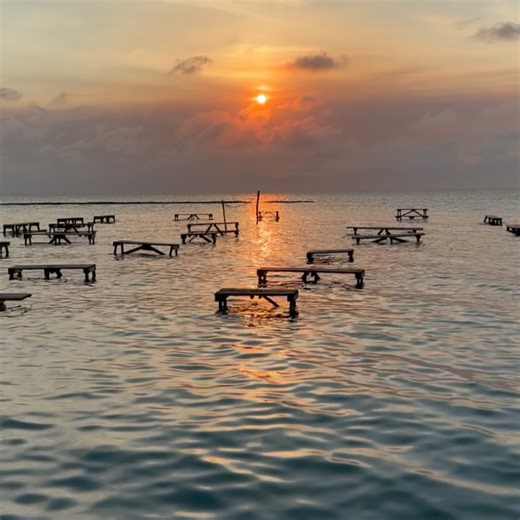 Blue Bayou Restaurant and Bar on Reels